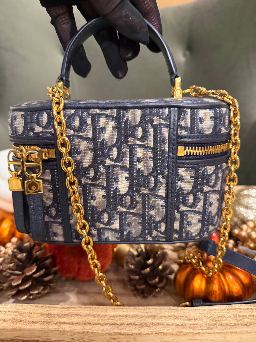 Dior Vanity Crossbody