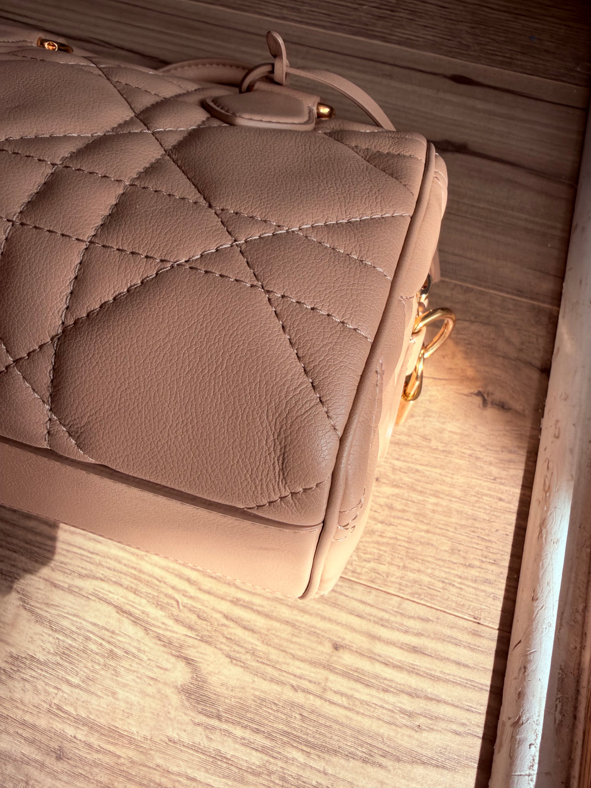 Christian Dior Trotter