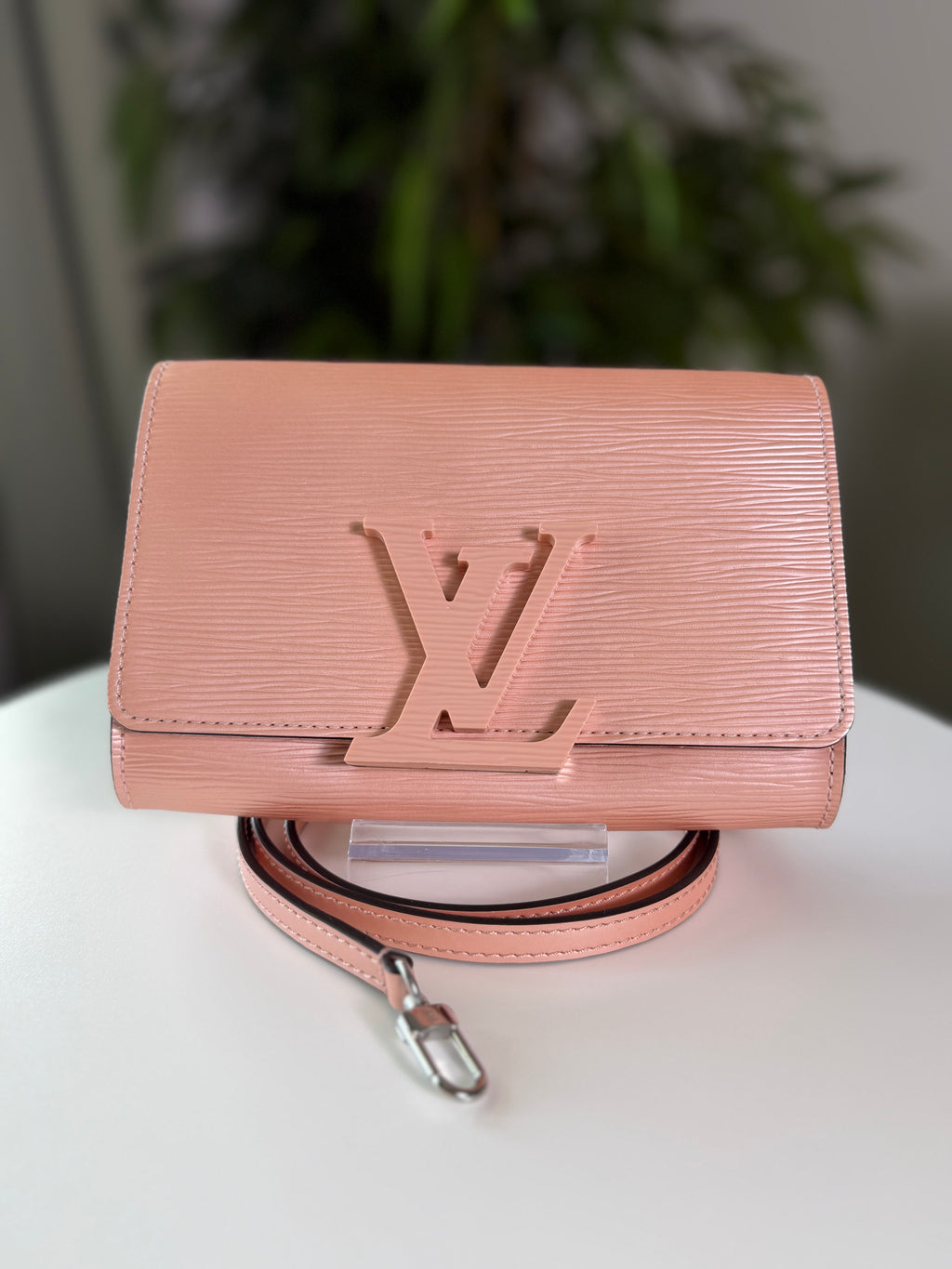 Louis Vuitton Clutch/Crossbody