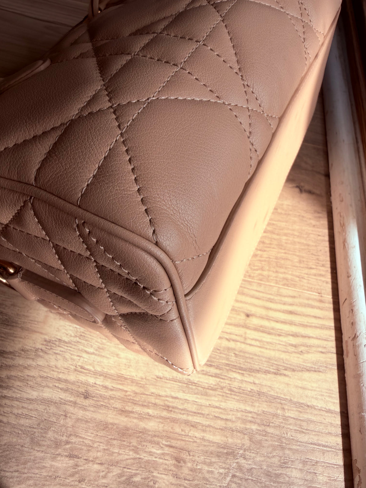 Christian Dior Trotter