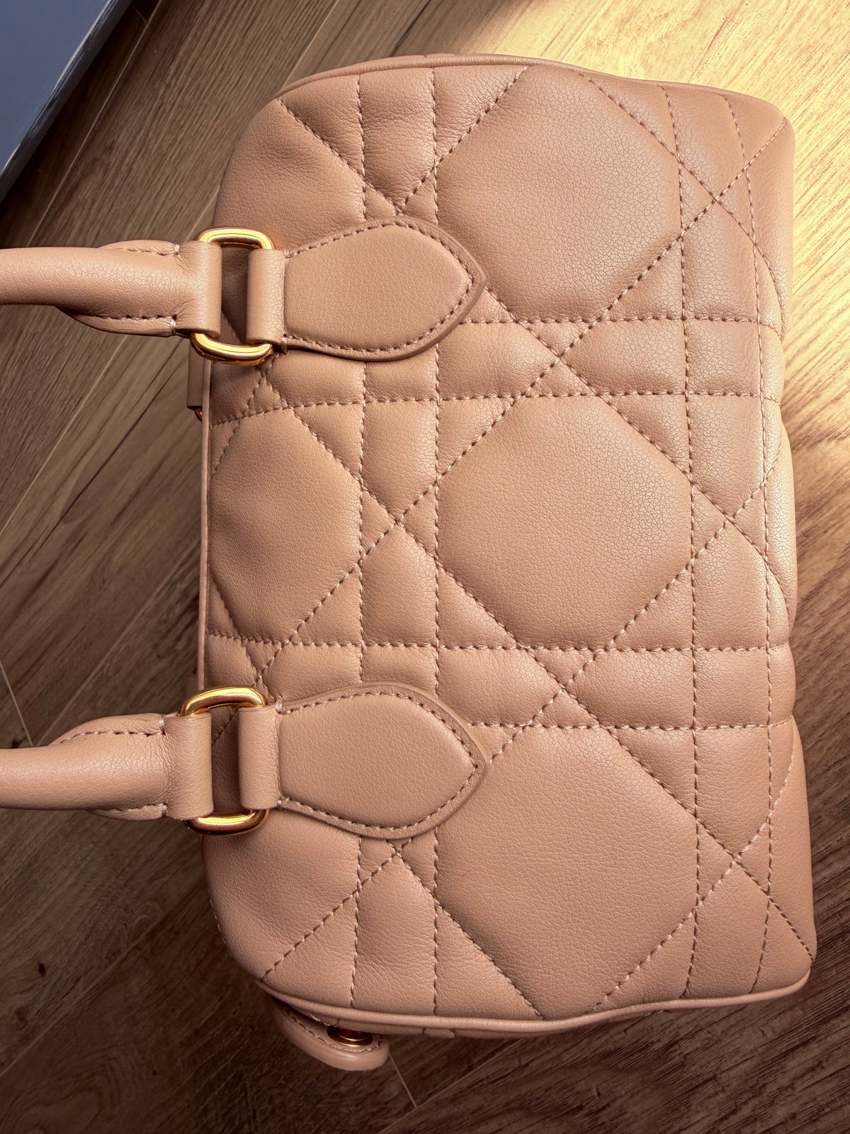 Christian Dior Trotter