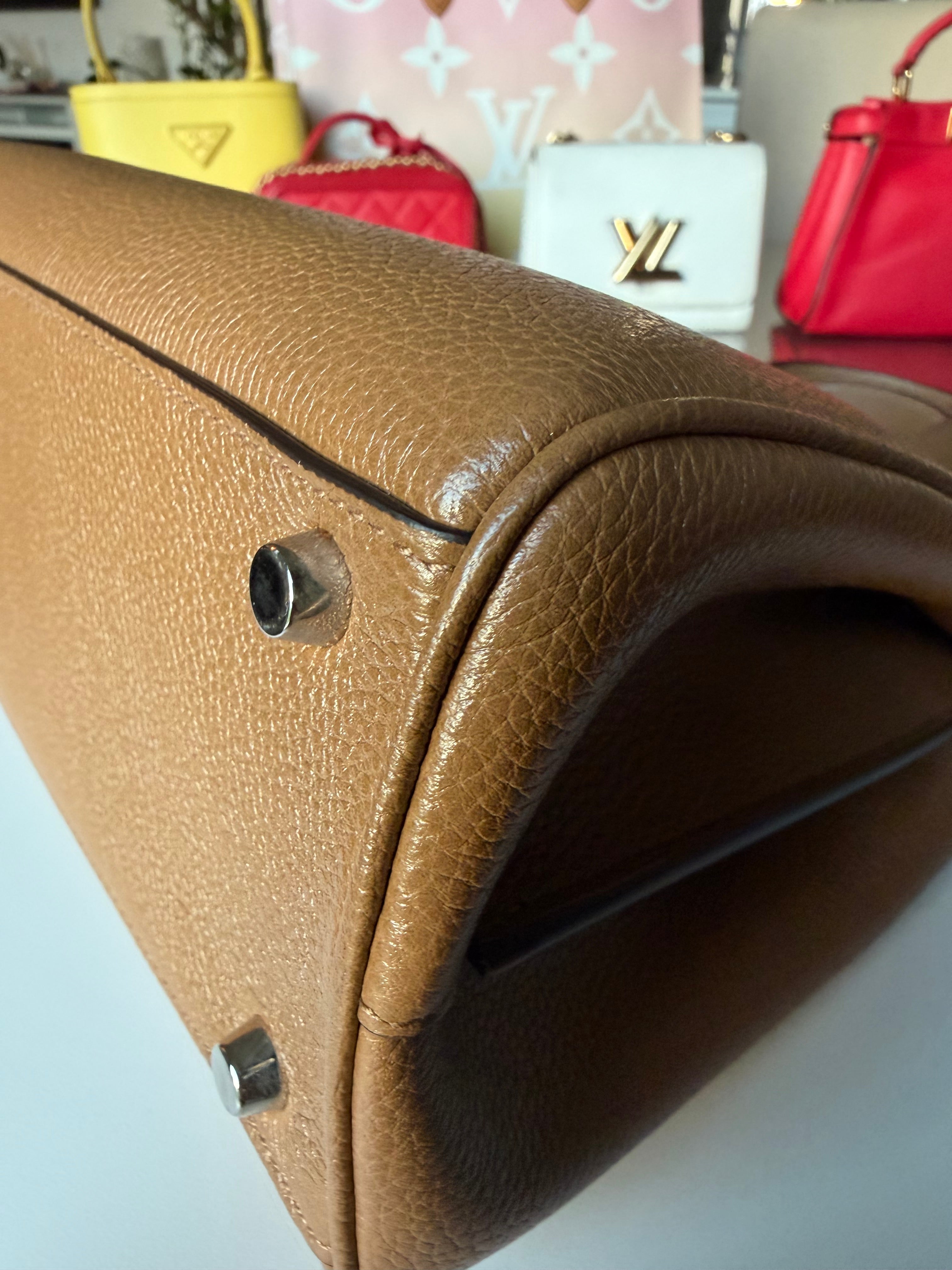 Gucci Two Toned Top Handle