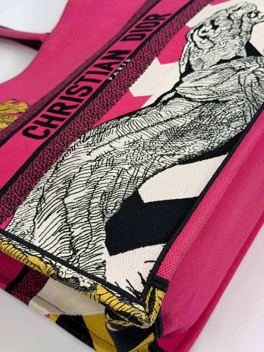 Dior Book Tote Large