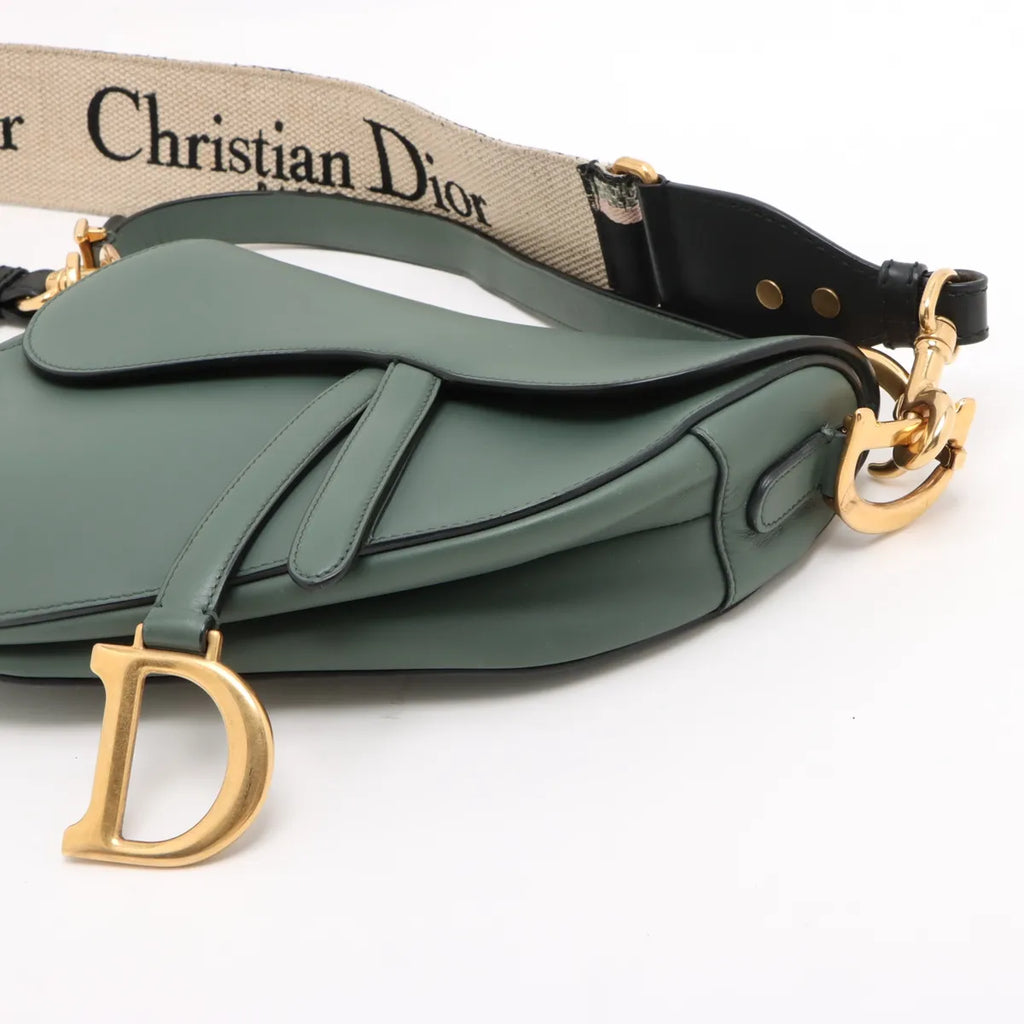 Dior Medium Saddle