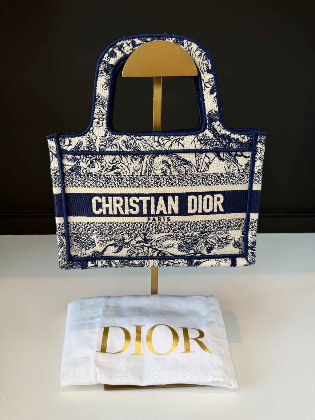 Christian Dior Book Tote Mini