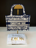 Christian Dior Book Tote Mini