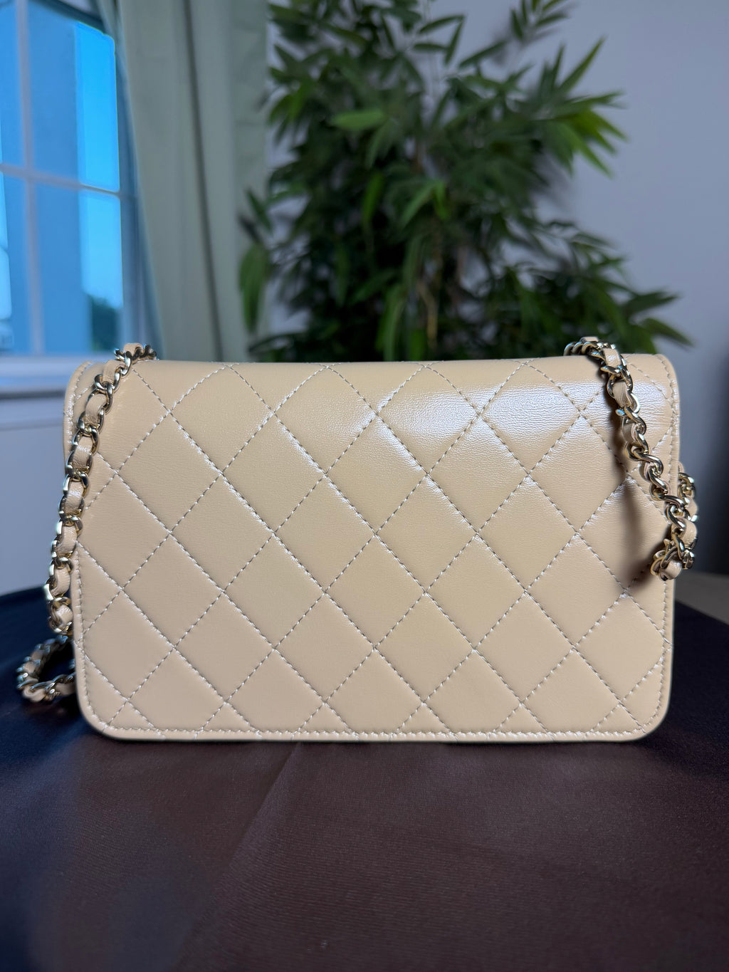 Chanel Microchipped Wallet On Chain