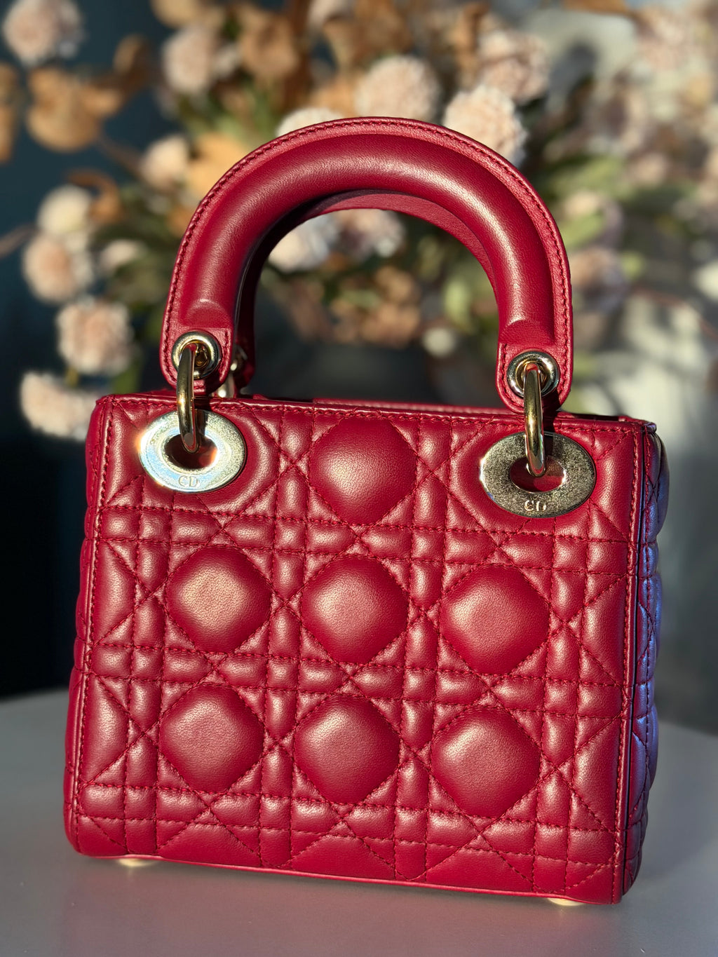 Christian Dior Lady Mini