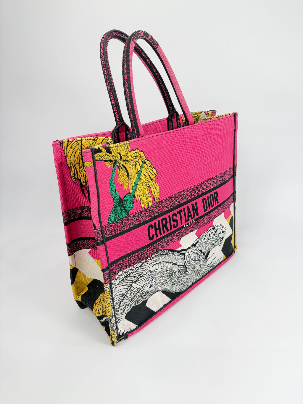 Dior Book Tote Large