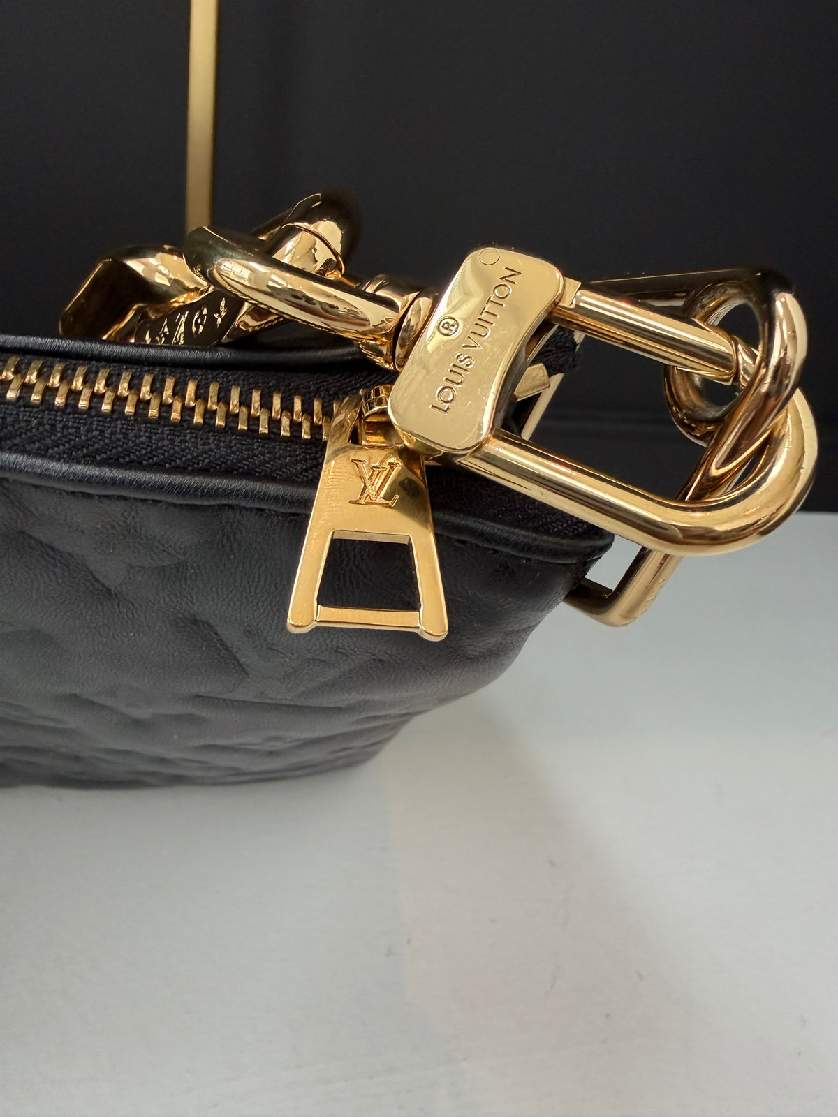 Louis Vuitton Coussin MM