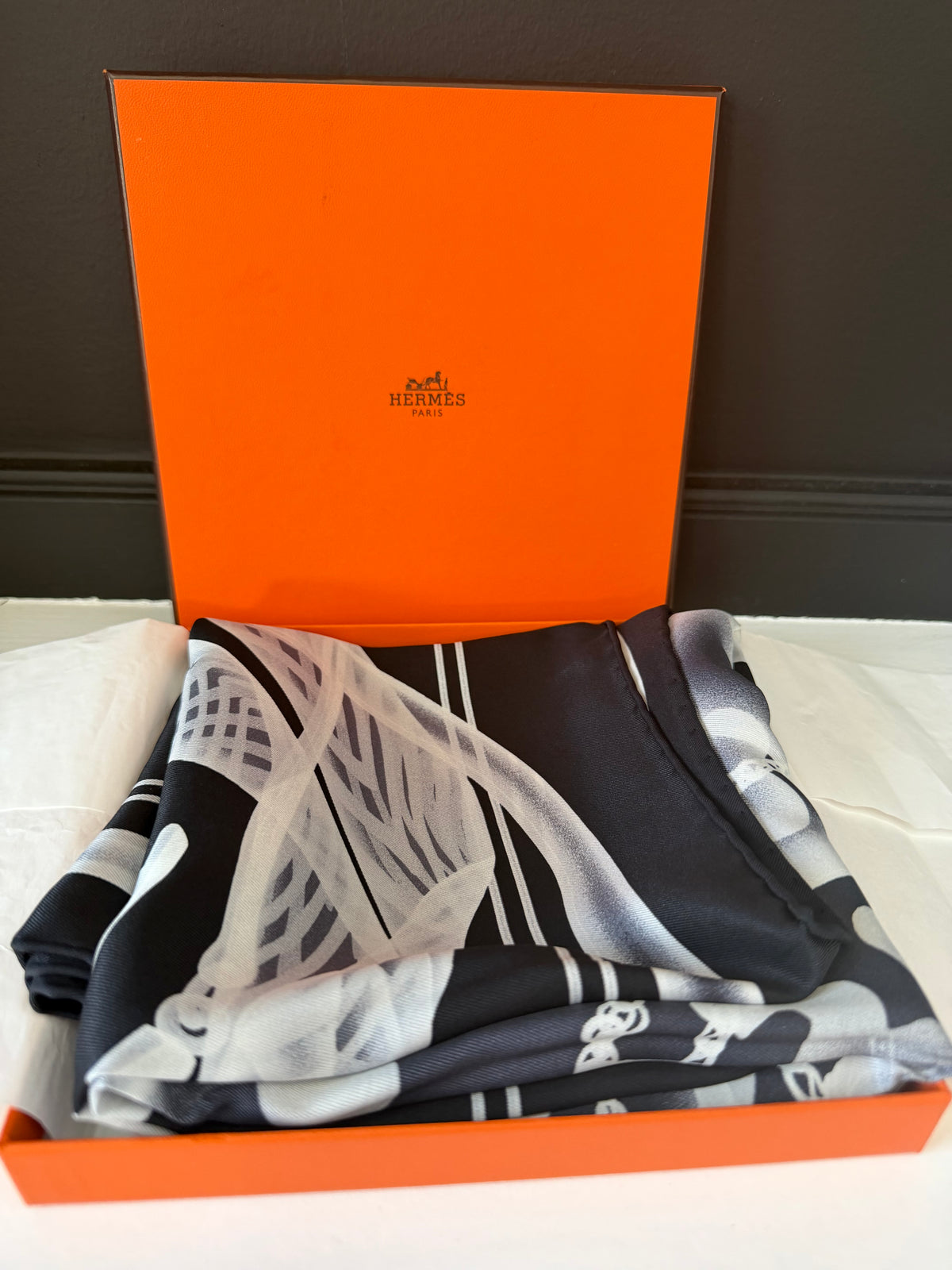 Hermes Scarf