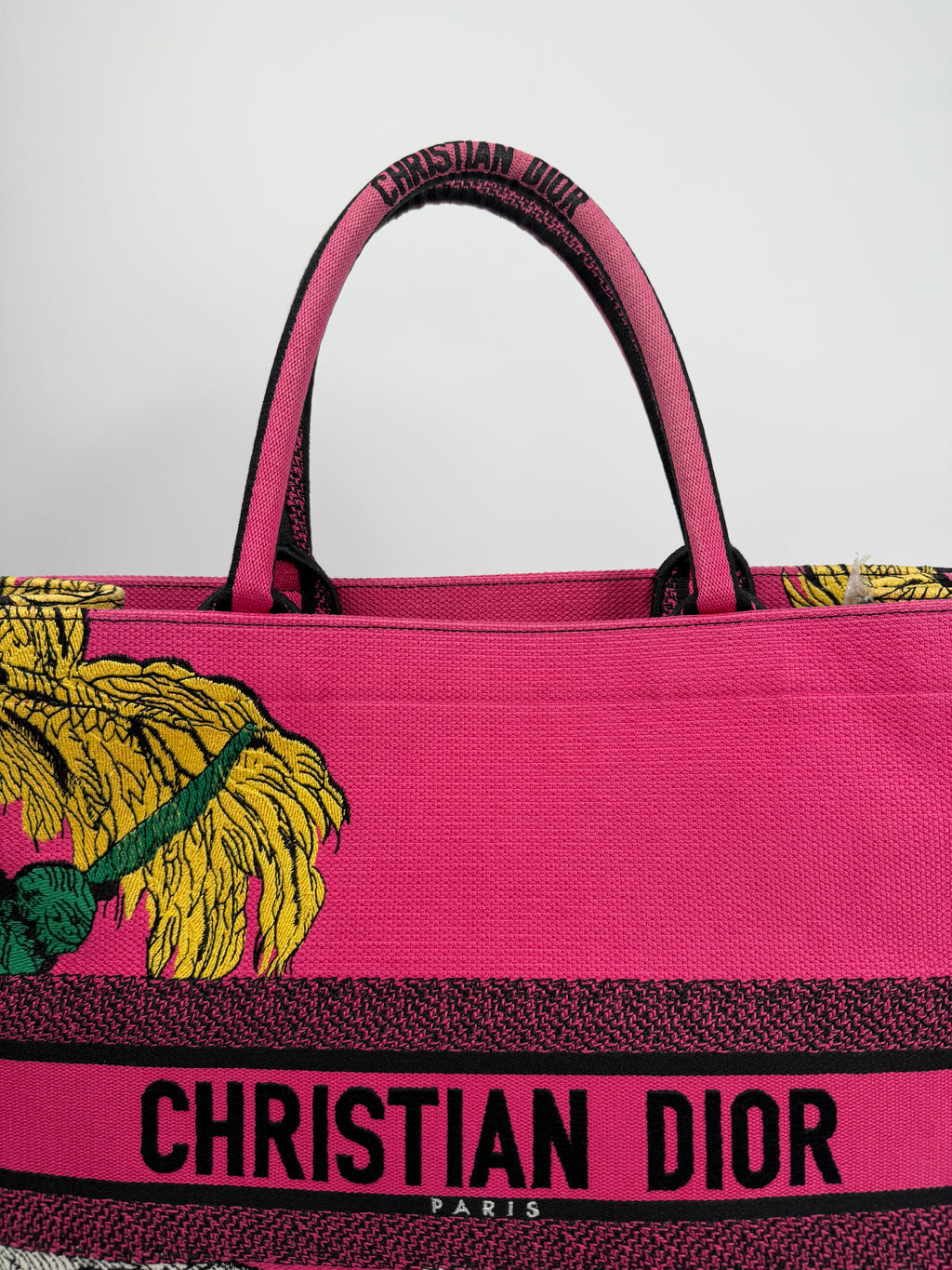 Dior Book Tote Large