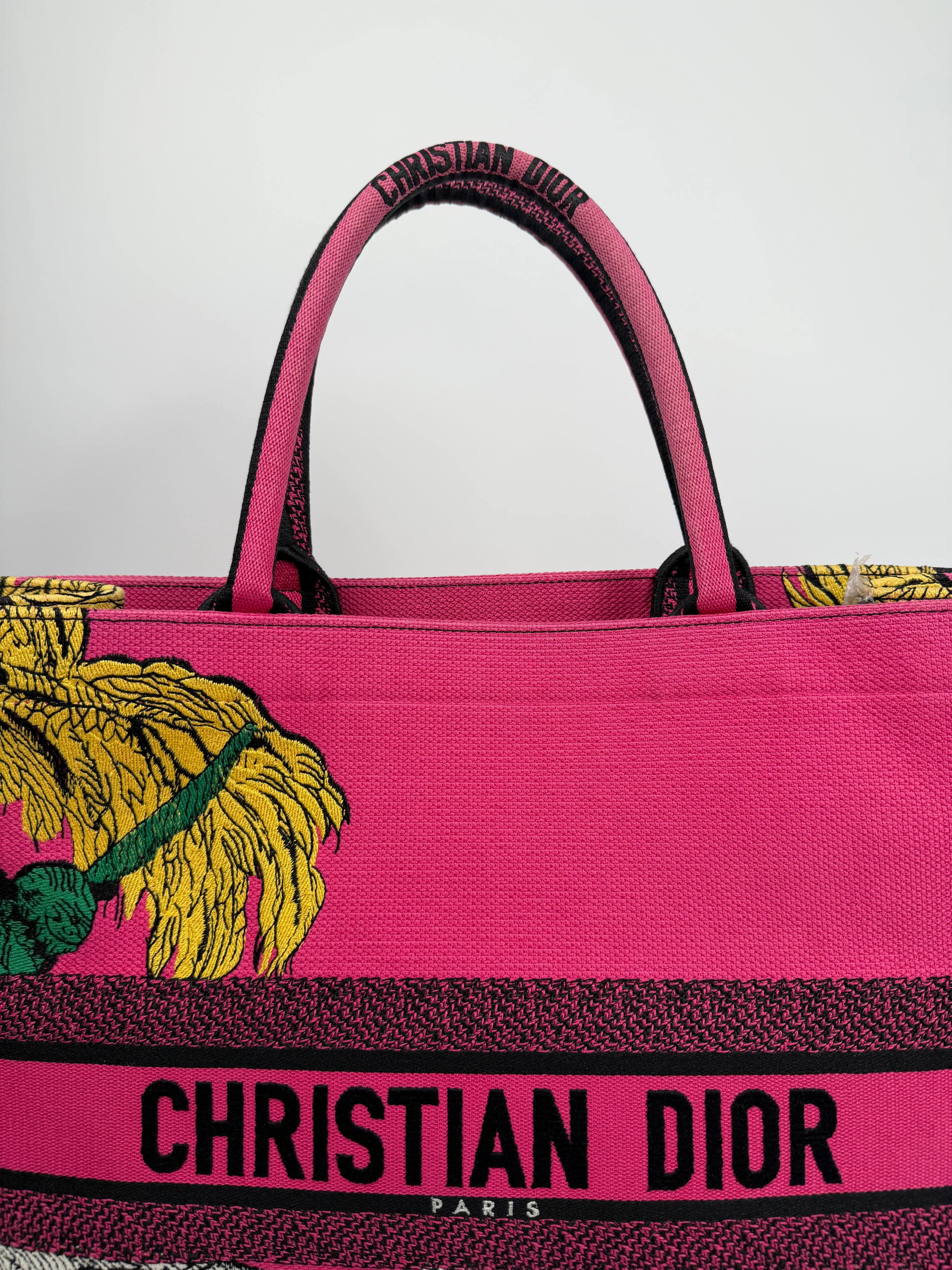 Dior Book Tote Large