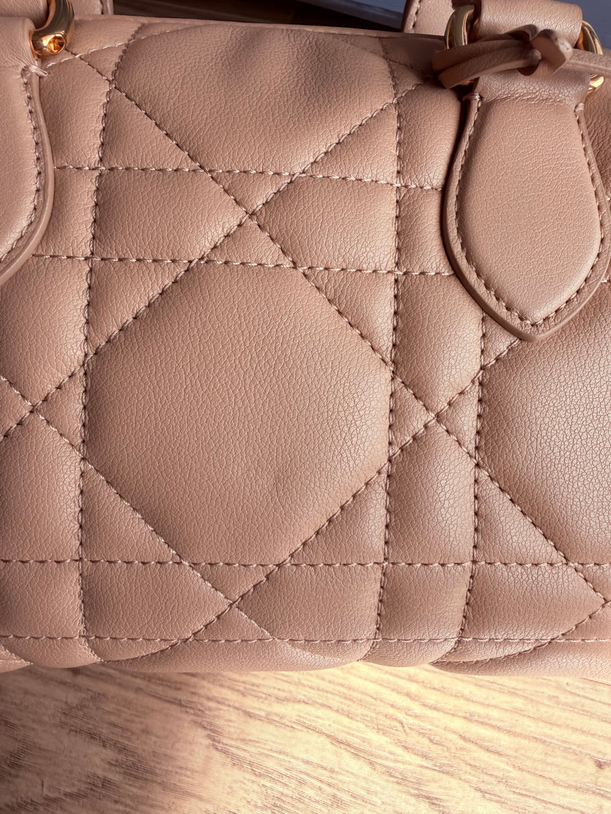 Christian Dior Trotter