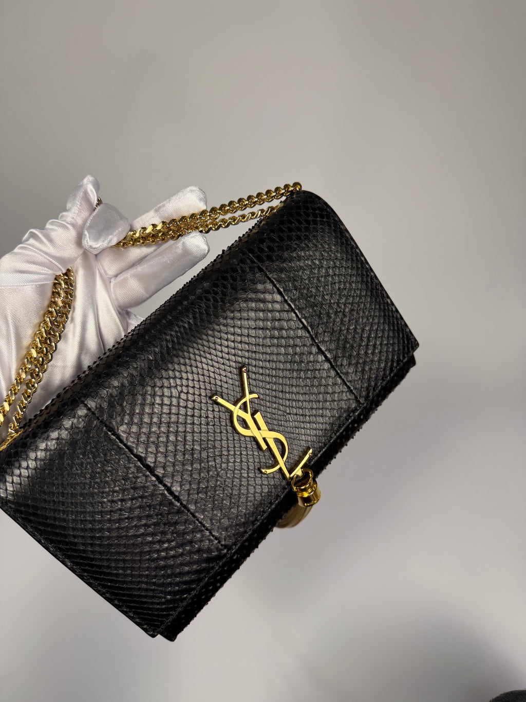 YSL Exotic Handbag