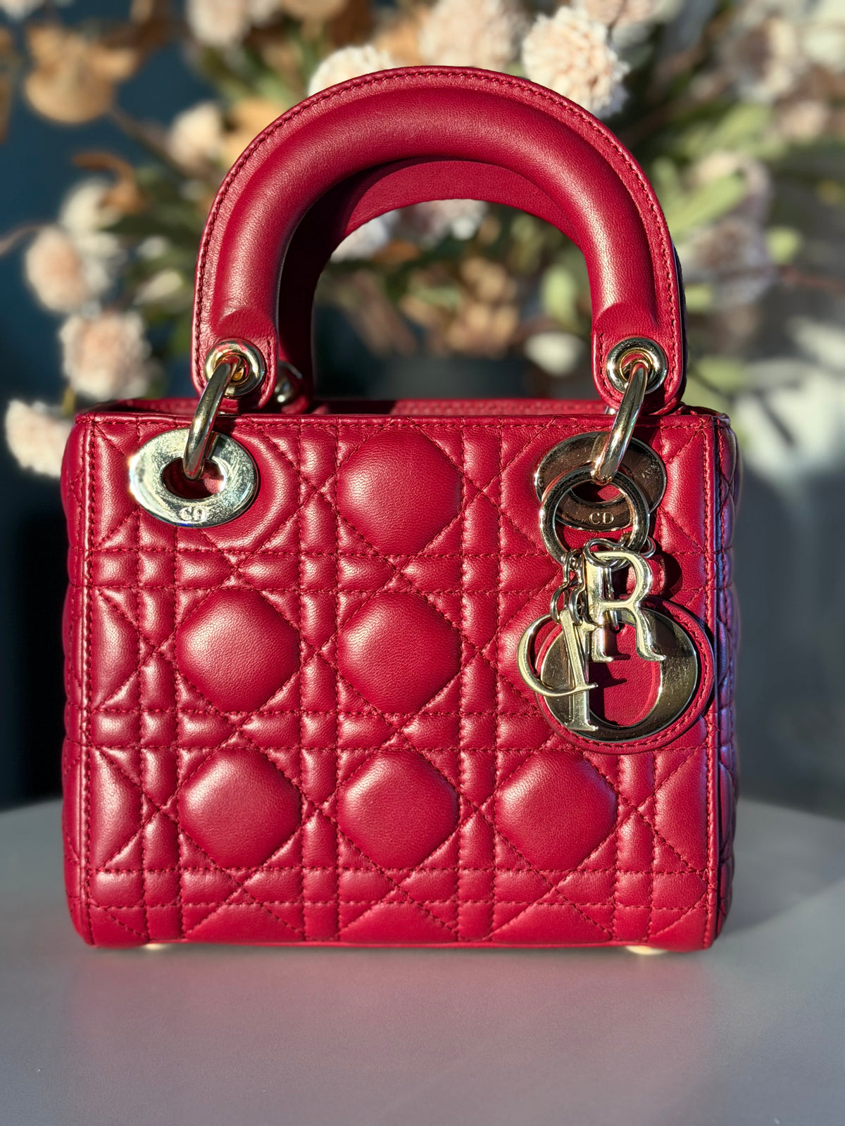Christian Dior Lady Mini