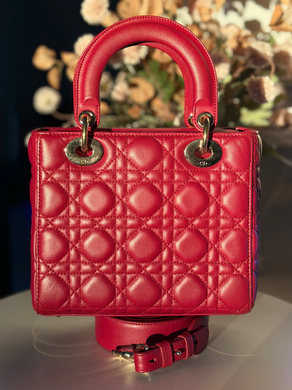 Christian Dior Small Lady