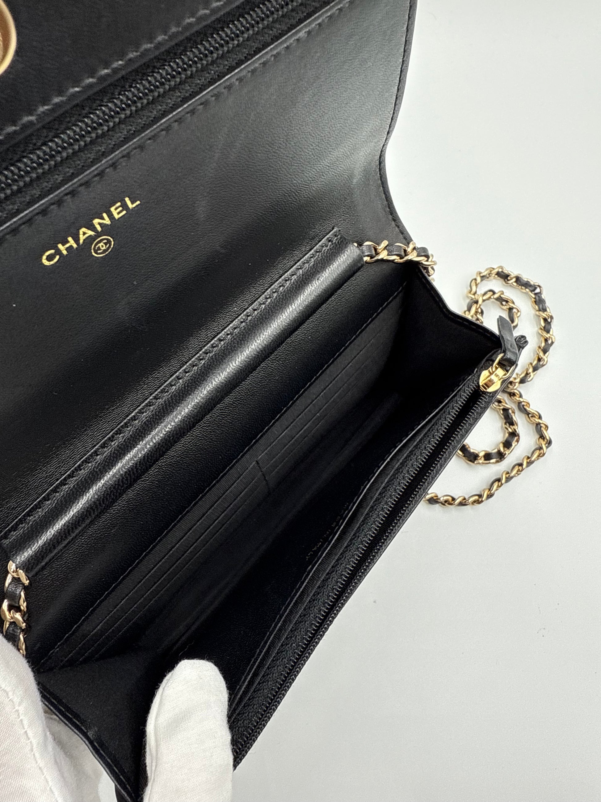 Chanel Velvet WOC