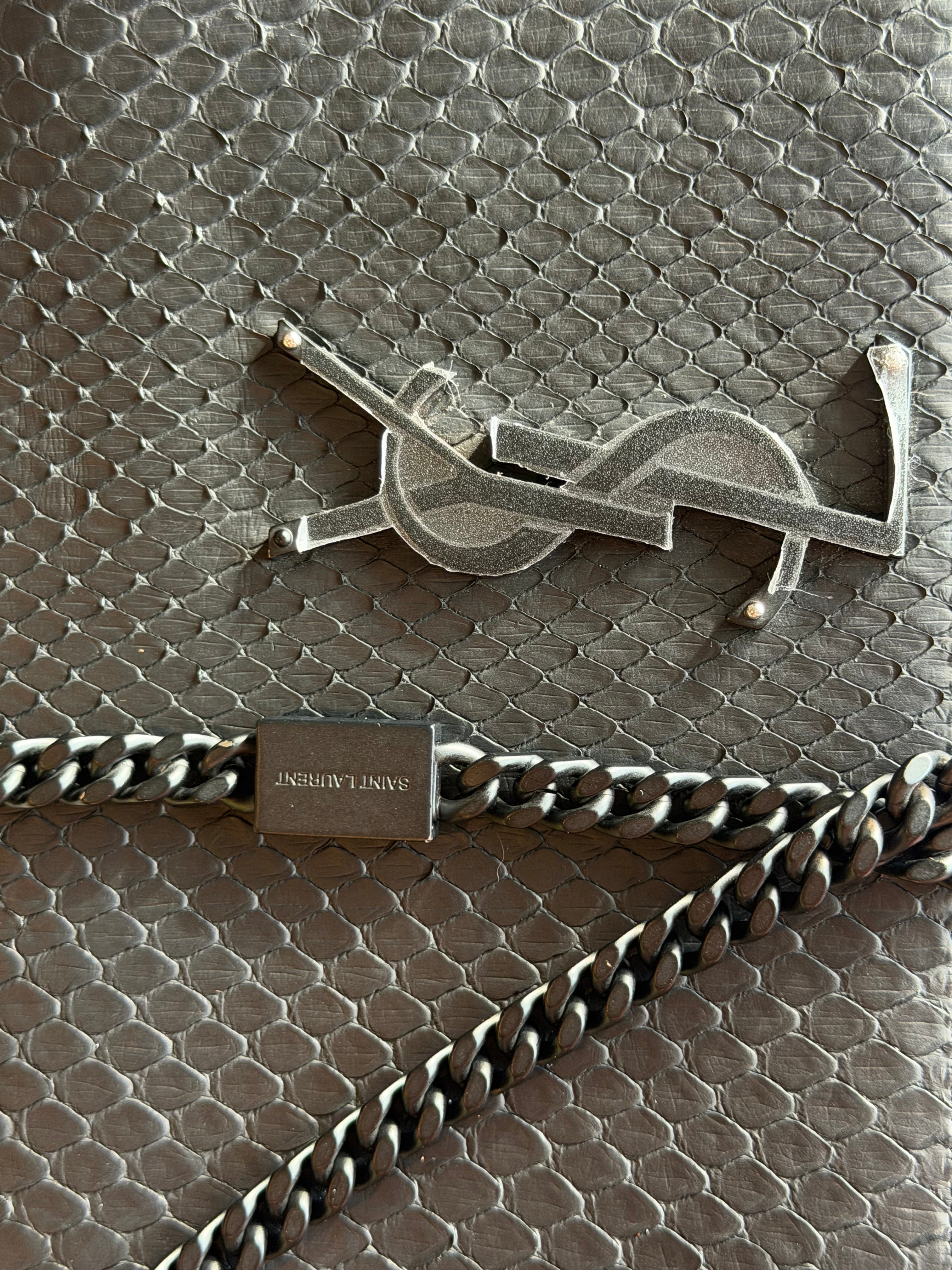 Chanel Exotic Crossbody