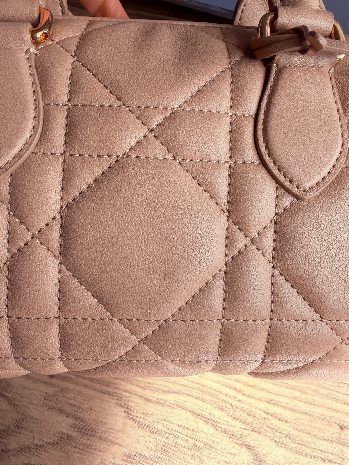Christian Dior Trotter