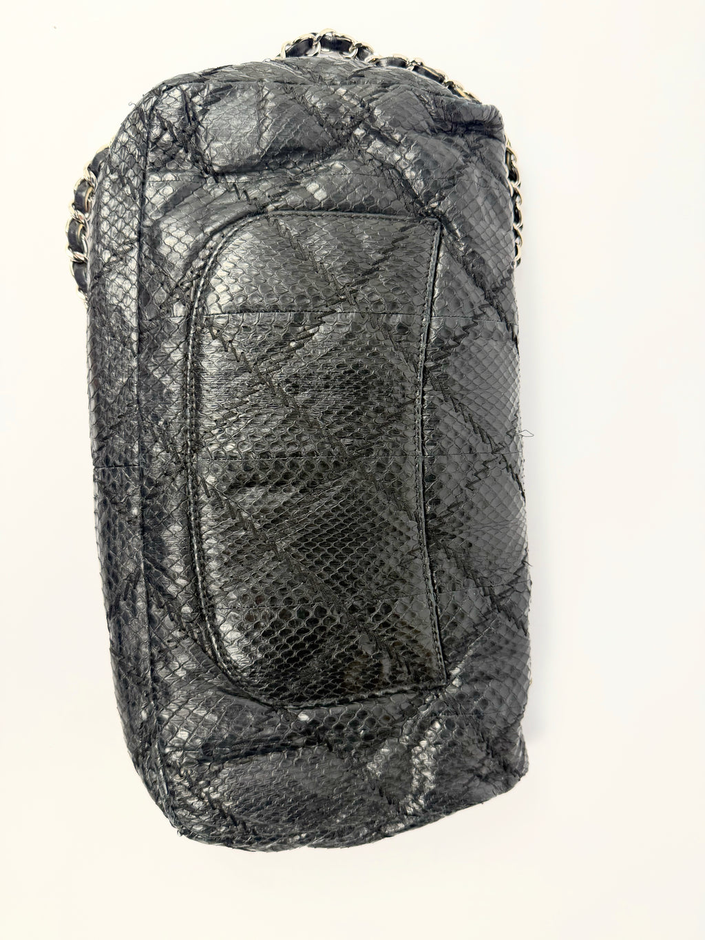 Chanel Exotic Single Flap
