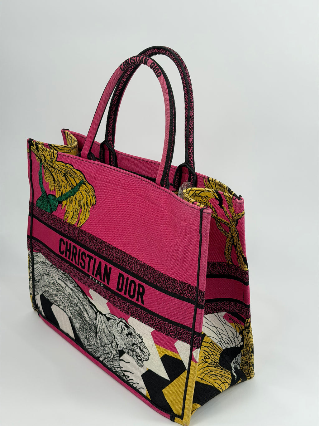 Dior Book Tote Large