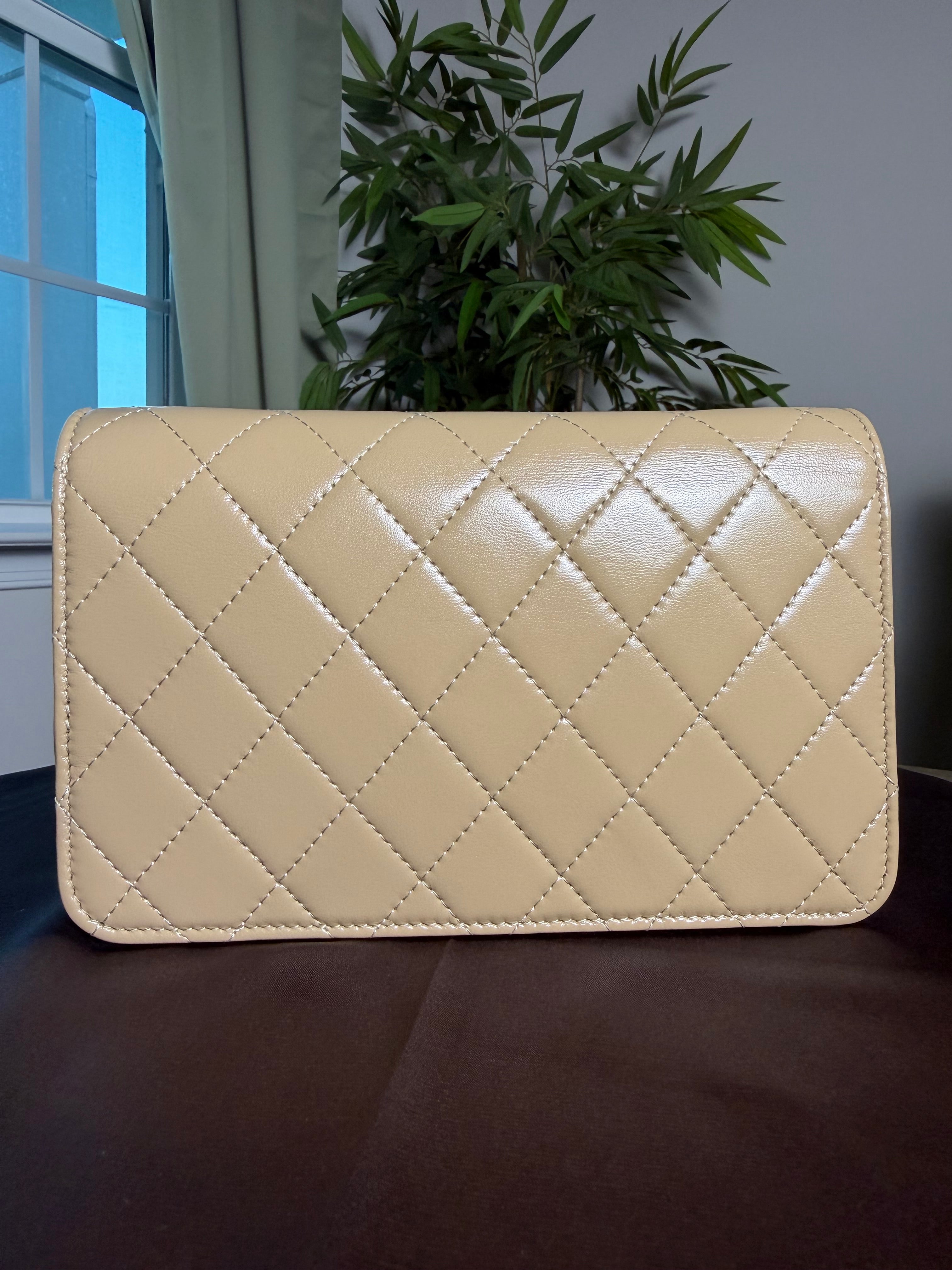 Chanel Microchipped Wallet On Chain