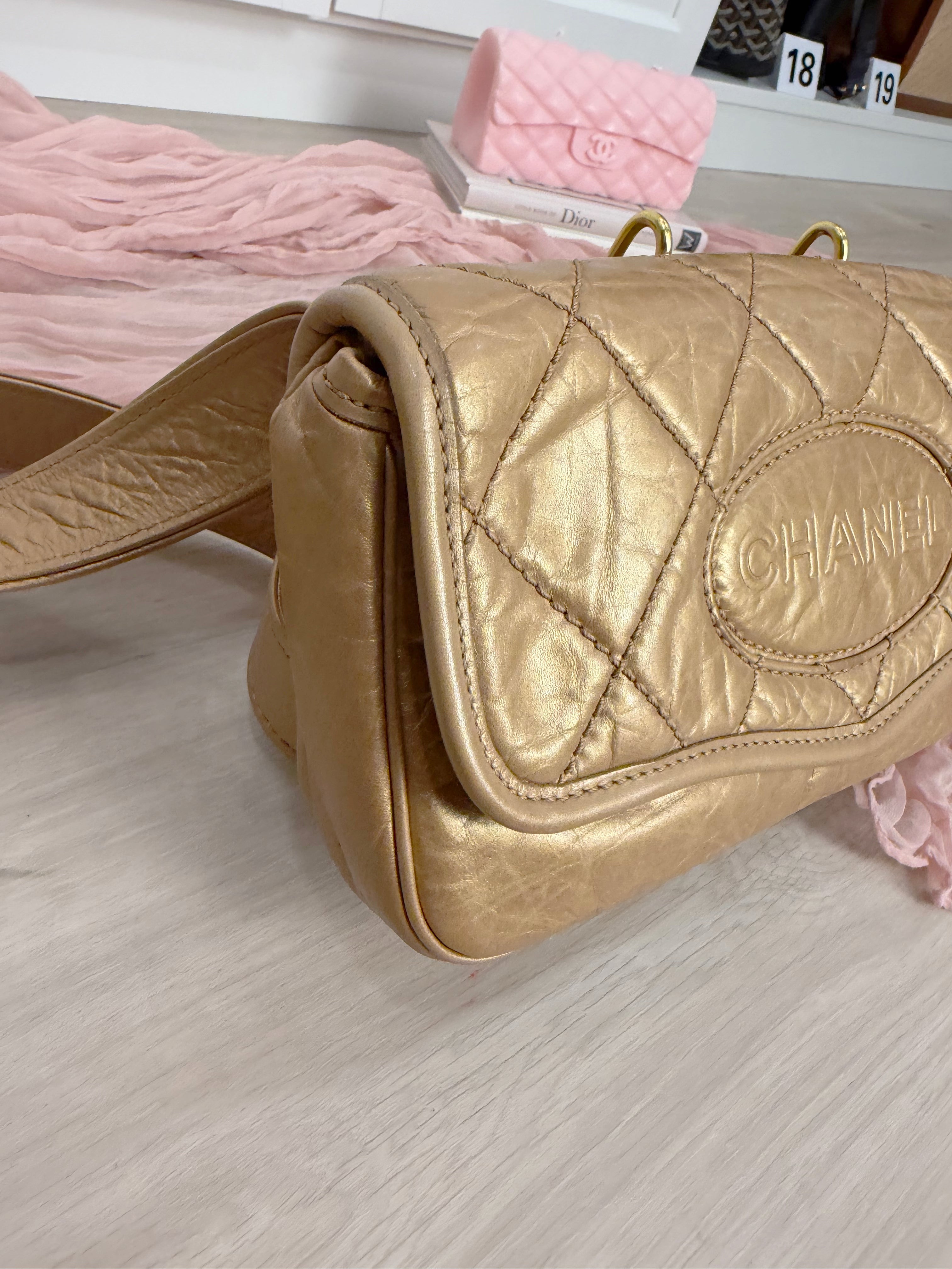 Chanel Metallic Belt Bag
