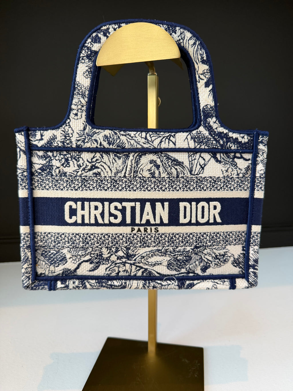 Christian Dior Book Tote Mini