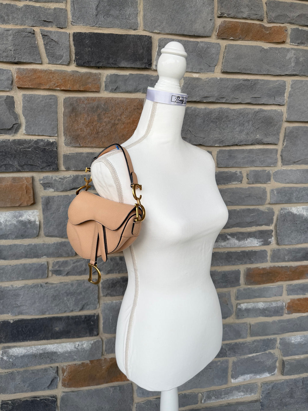 Dior Mini Saddle