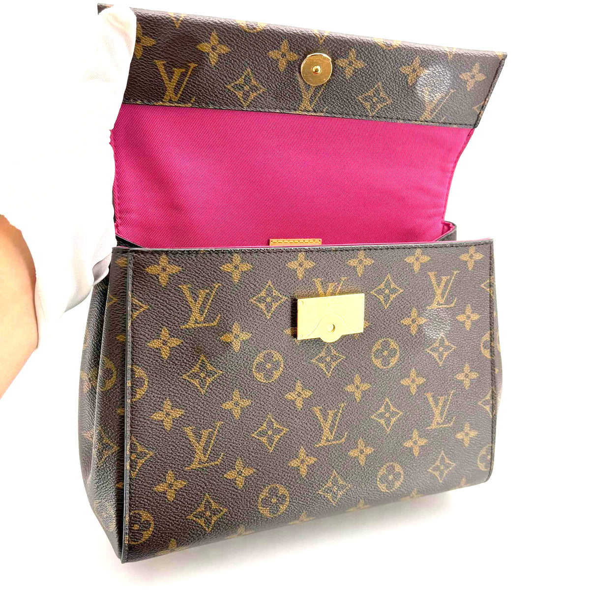 Louis Vuitton Cluny Monogram