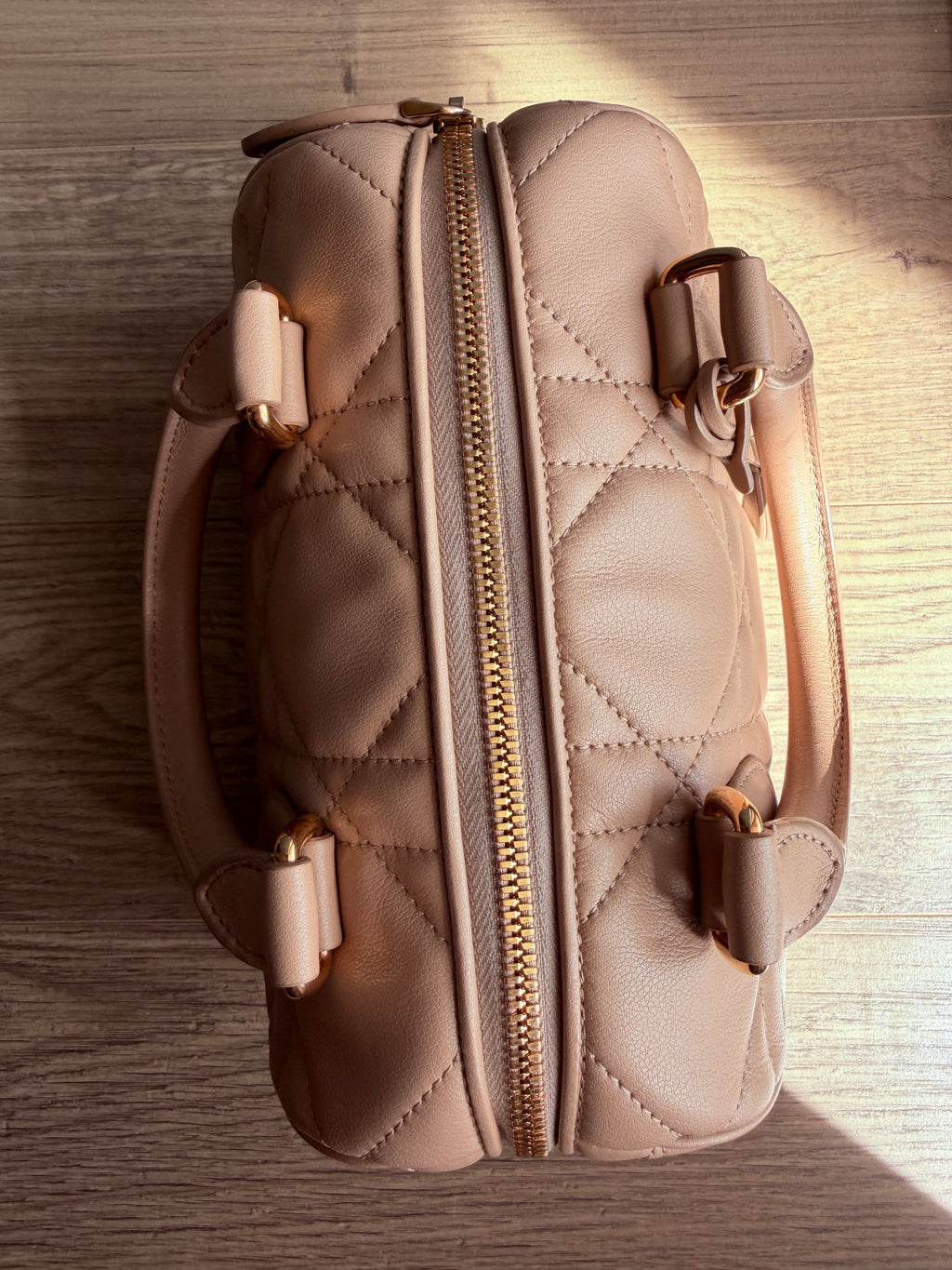Christian Dior Trotter