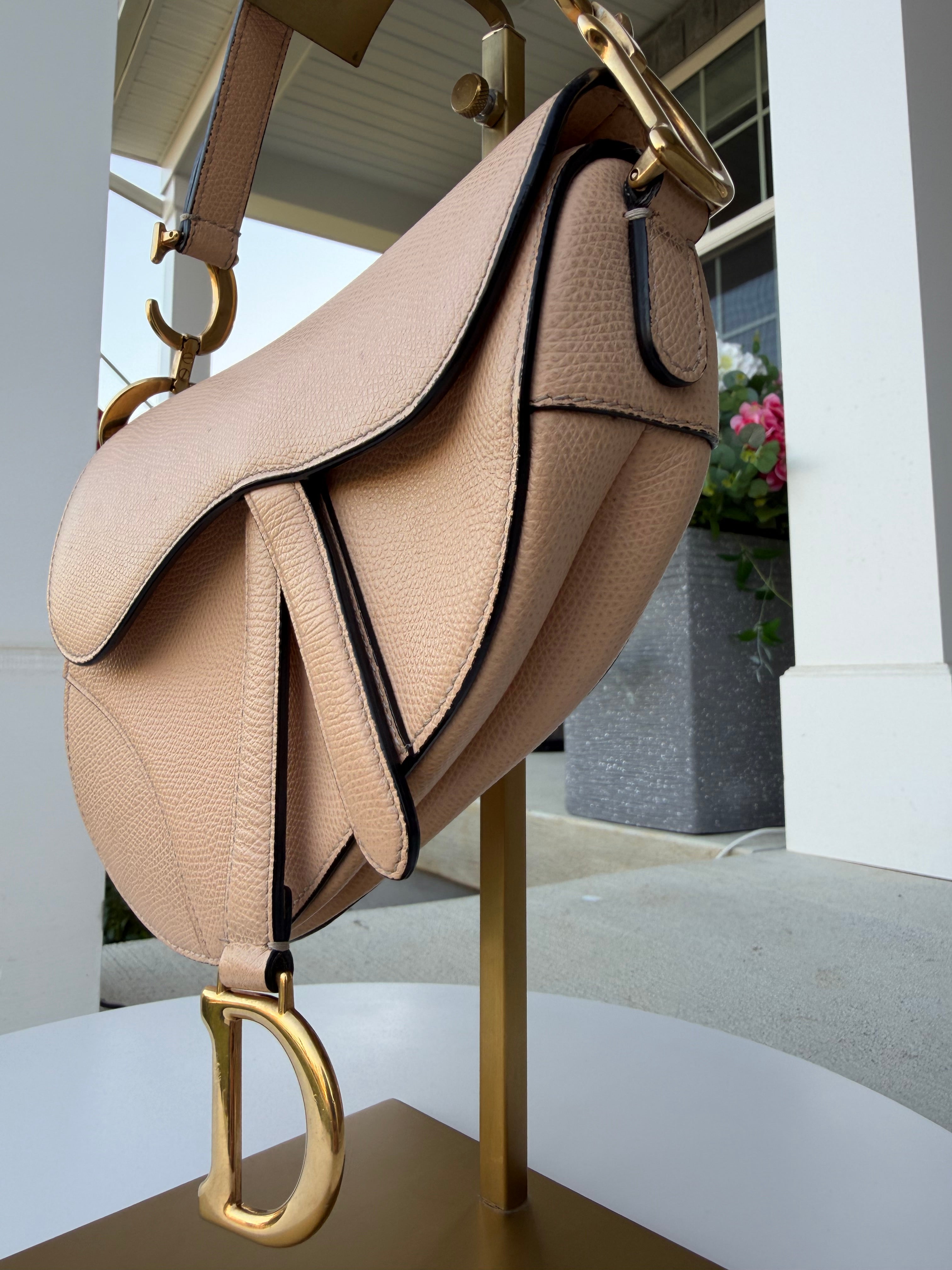 Dior Mini Saddle
