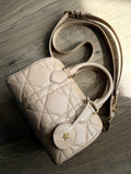 Christian Dior Trotter