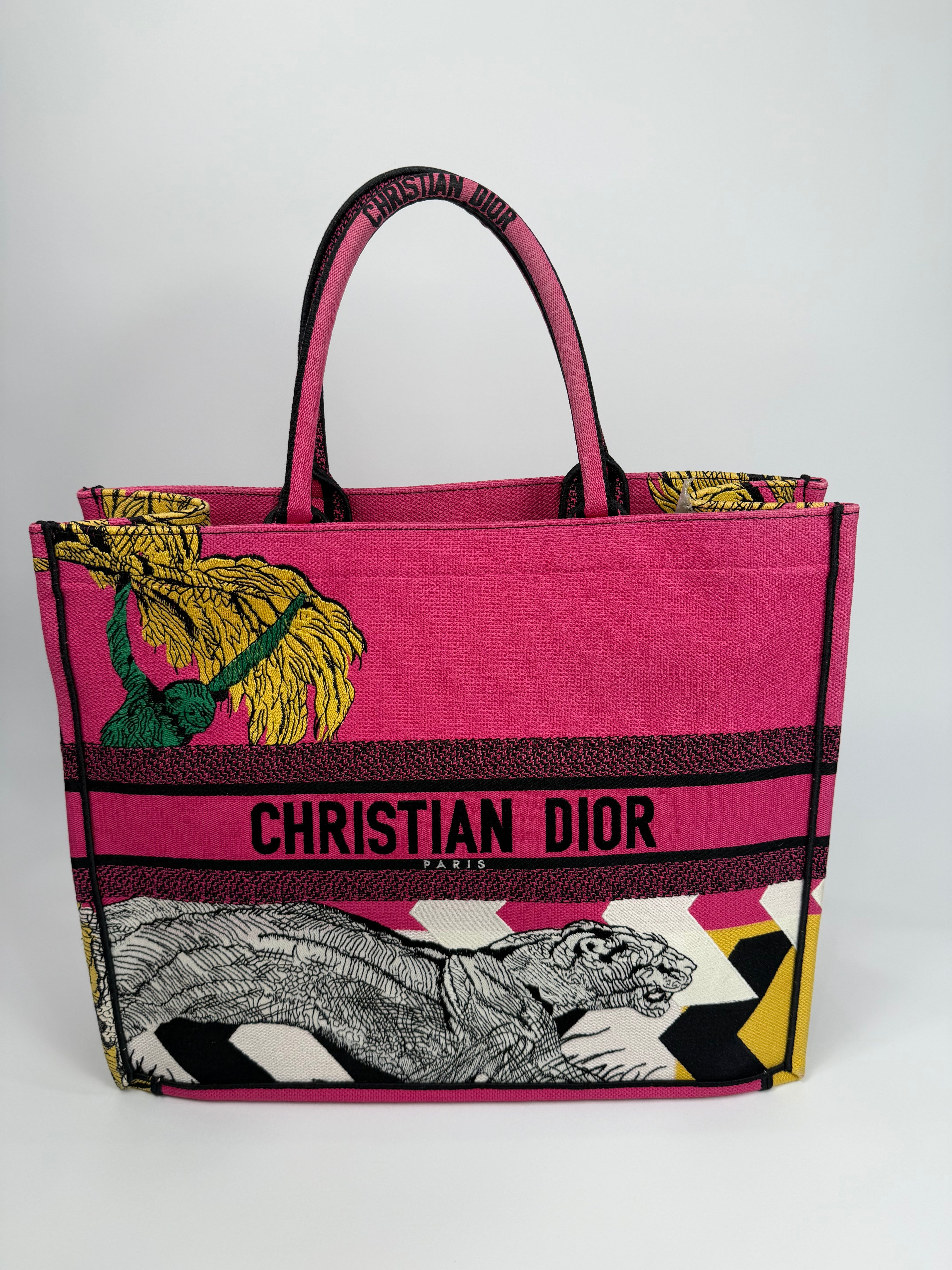 Dior Book Tote Large