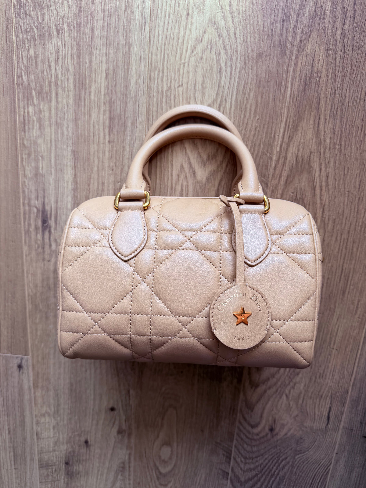 Christian Dior Trotter