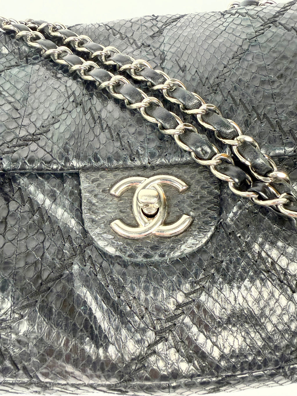 Chanel Exotic Single Flap
