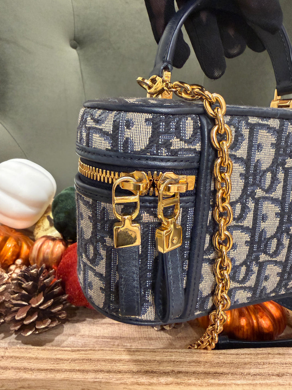 Dior Vanity Crossbody
