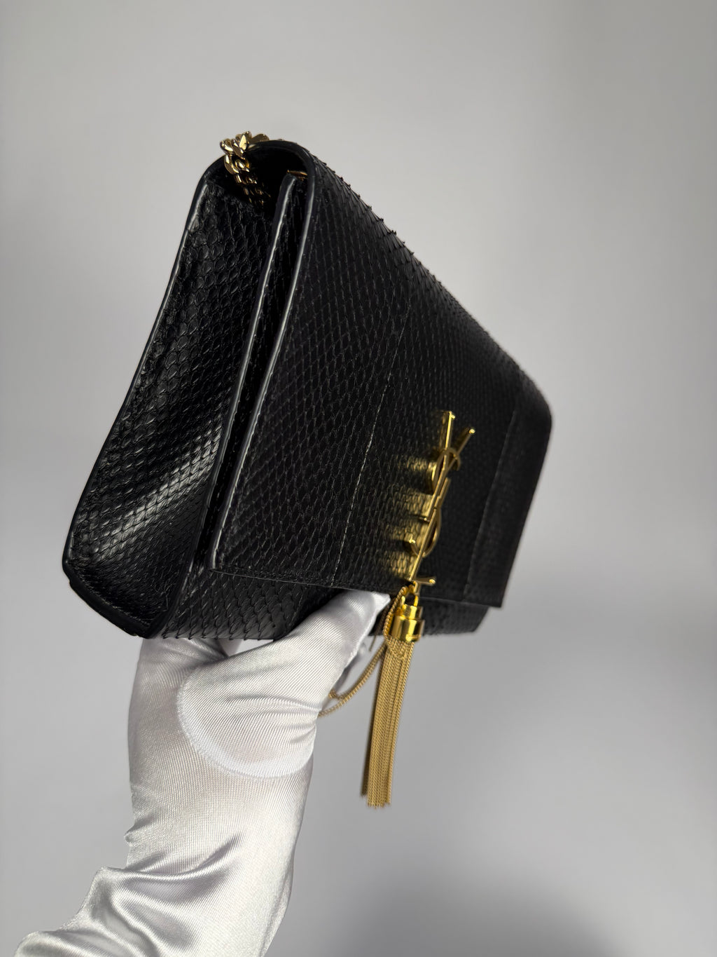 YSL Exotic Handbag