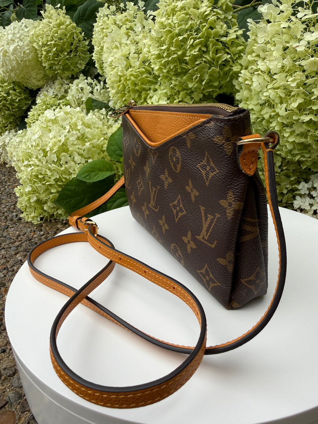 Louis Vuitton Crossbody