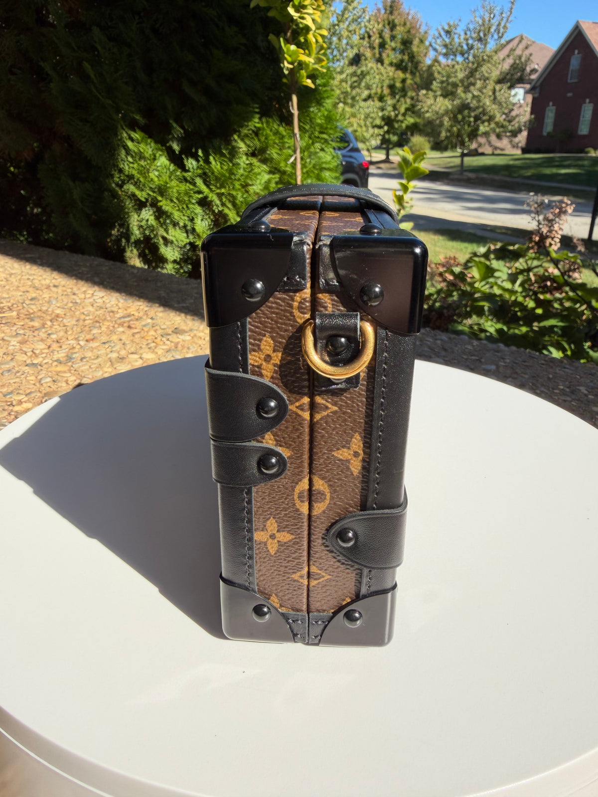 Louis Vuitton Trunk Petite Malle