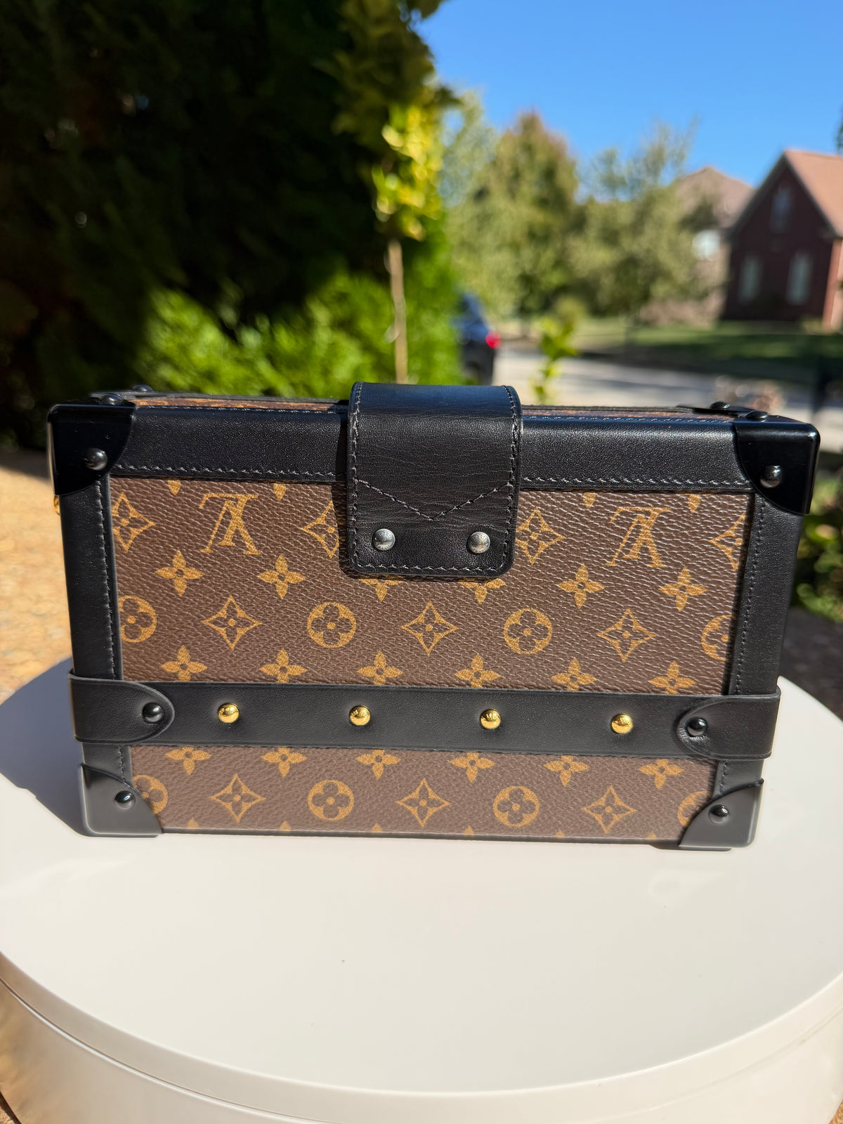 Louis Vuitton Trunk Petite Malle