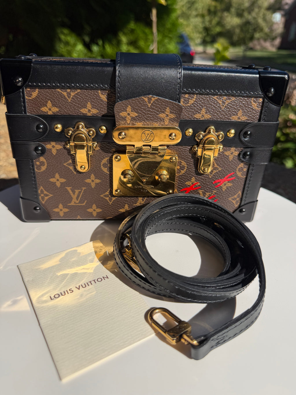 Louis Vuitton Trunk Petite Malle