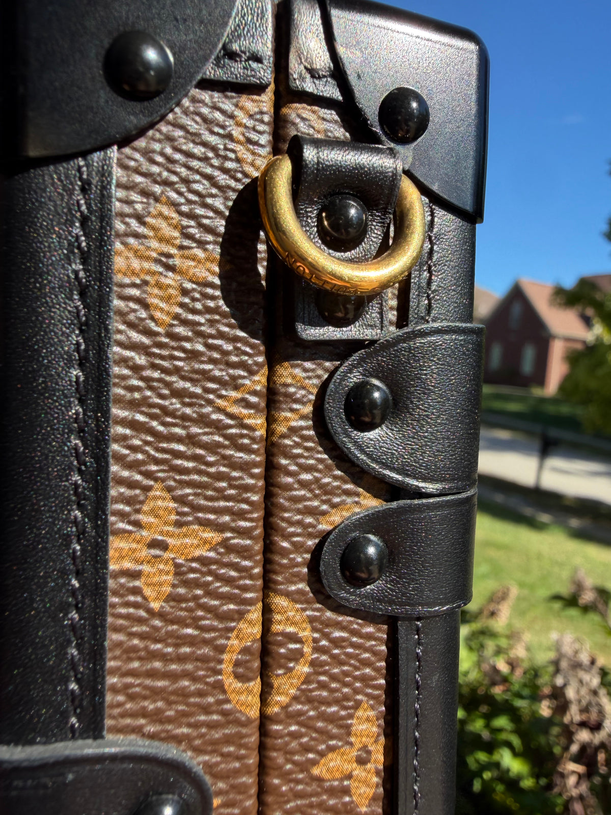 Louis Vuitton Trunk Petite Malle