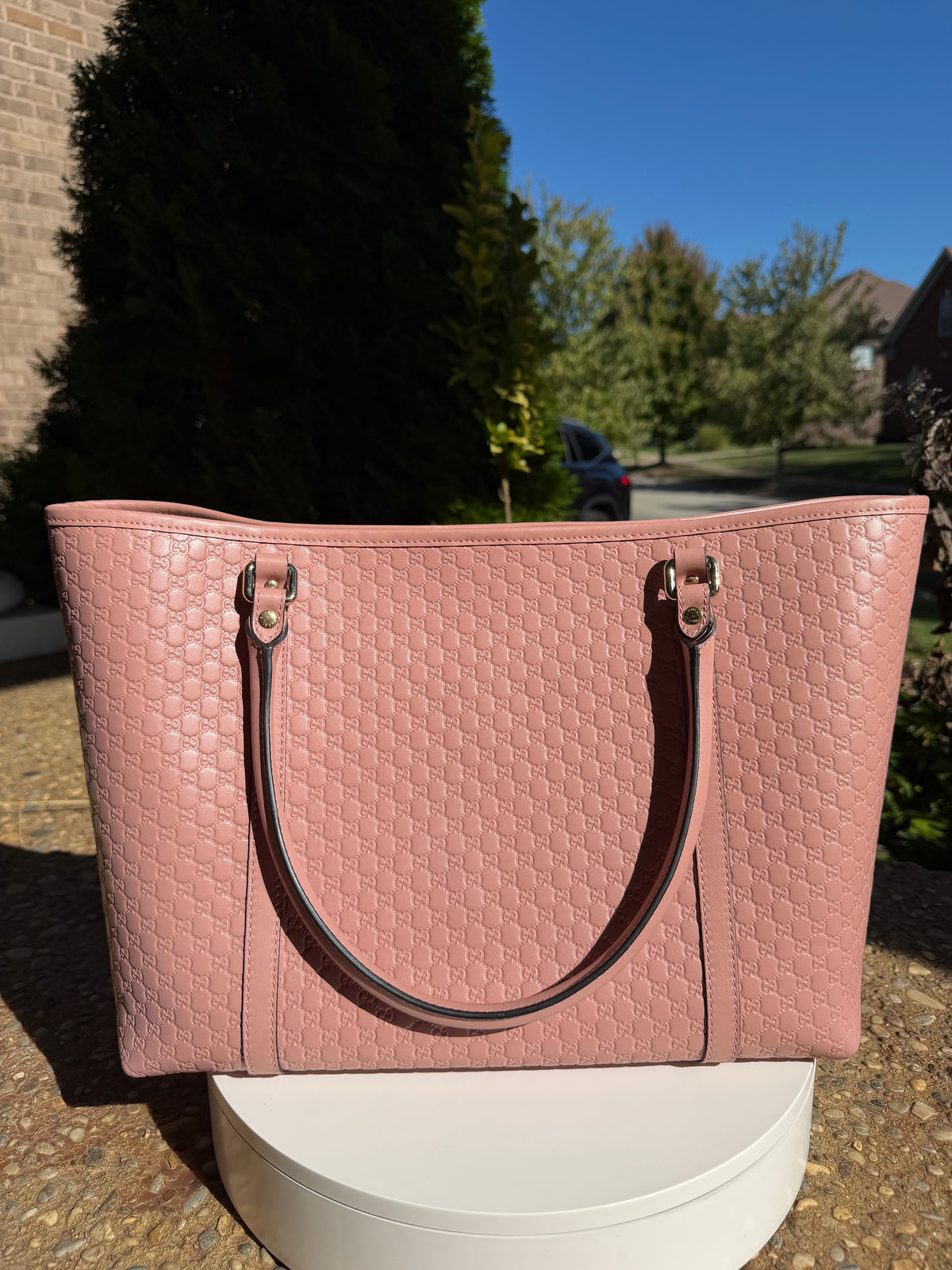 Gucci Pink Tote