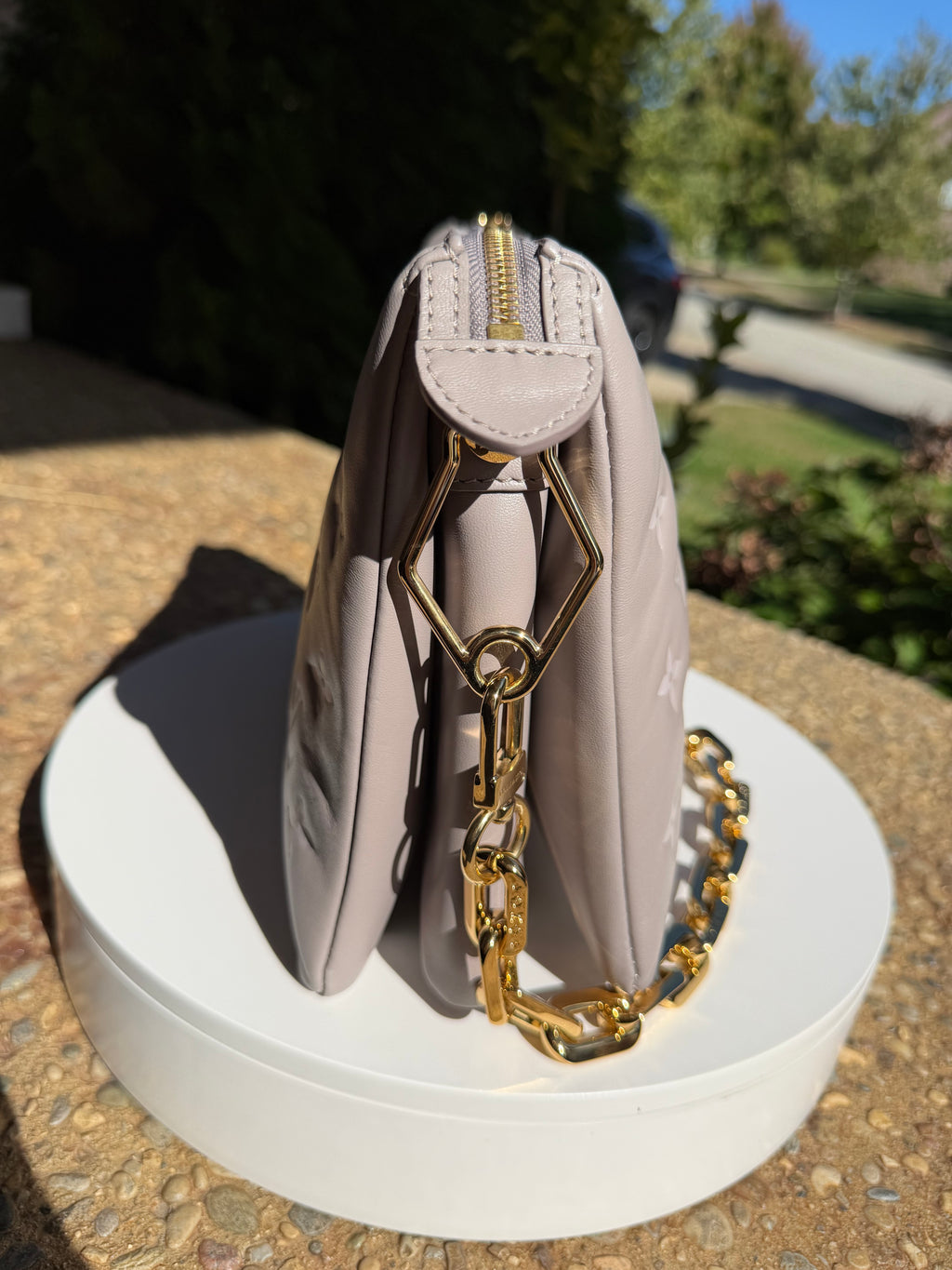 Louis Vuitton Greige Coussin PM