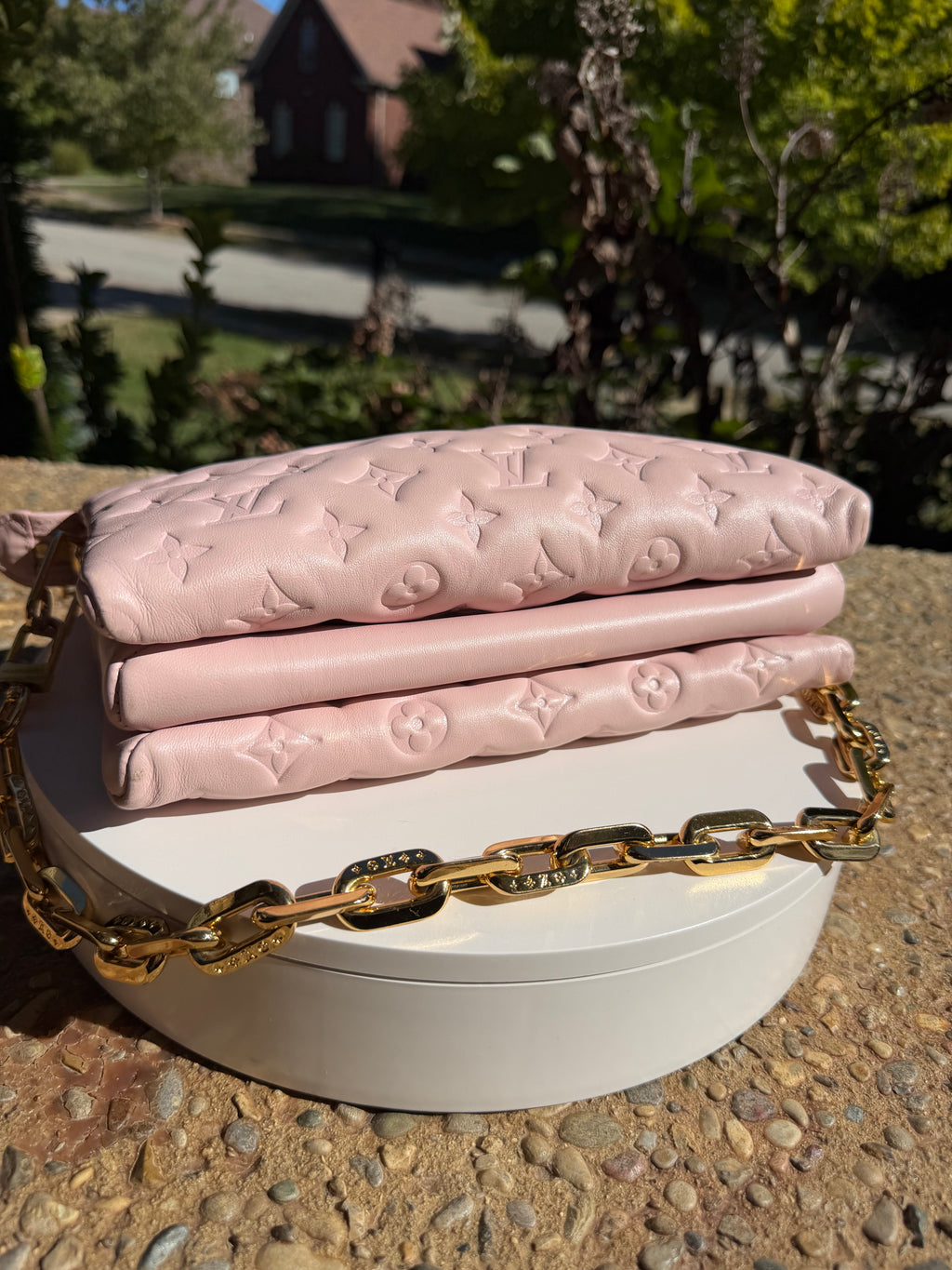 Louis Vuitton Coussin Pink PM