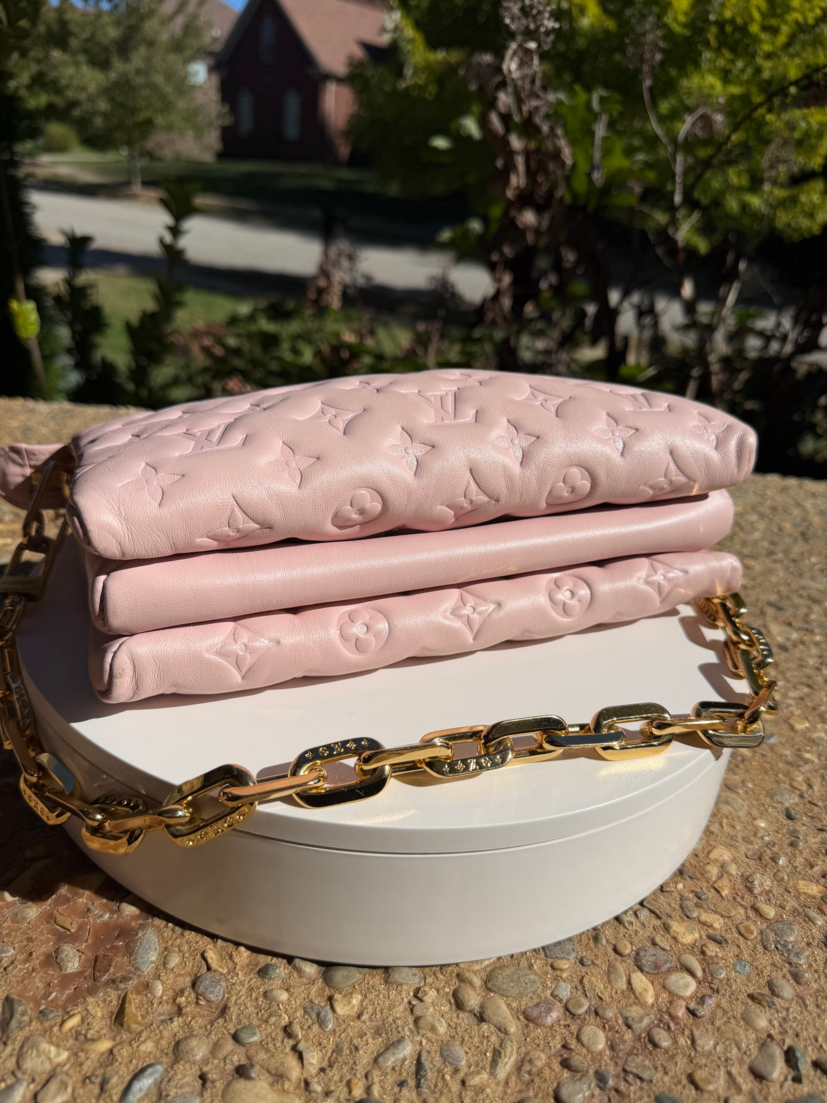 Louis Vuitton Coussin Pink PM