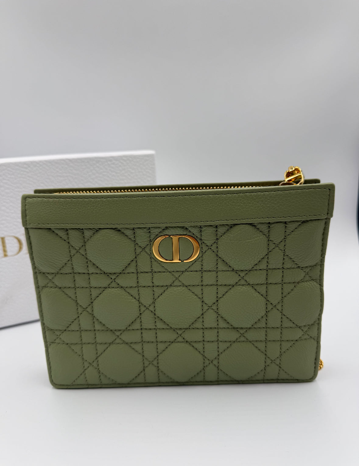 Dior Caro Zippered Pouch