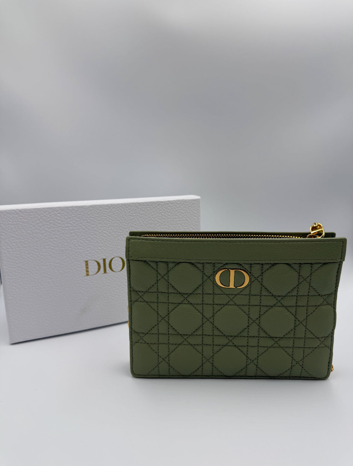 Dior Caro Zippered Pouch